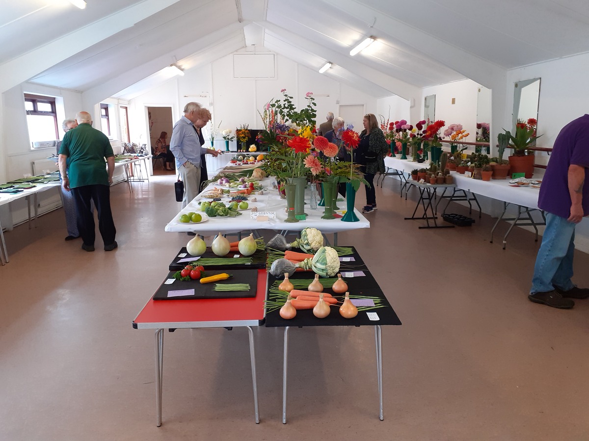 shevington show 2022